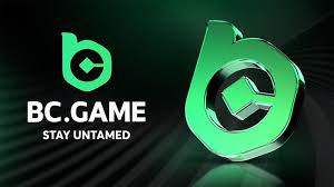 BC.Game Argentina Login Process A Step-by-Step Guide BC.Game Argentina Login Process A Step-by-Step Guide