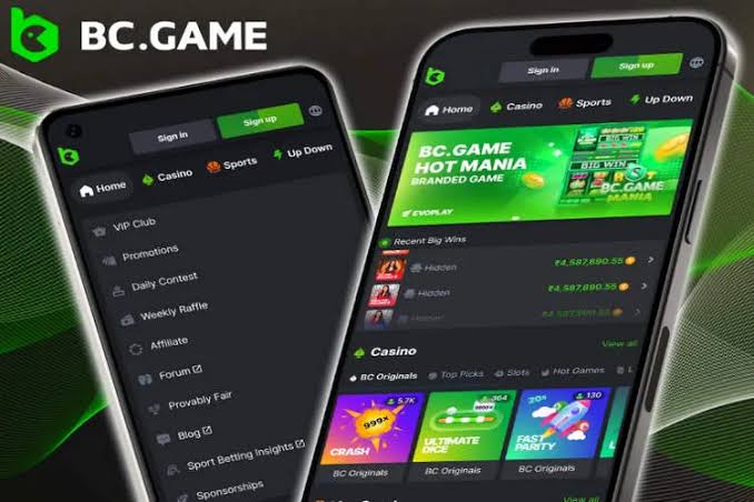 Comprehensive Guide to BC.Game Bonuses Maximize Your Winnings Comprehensive Guide to BC.Game Bonuses Maximize Your Winnings